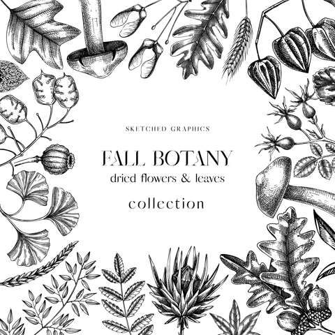 Autumn frame with fall leaves and dried flowers. Thanksgiving banner design. Fall card or invitation. Sketched dried herbs, falling leaves, mushrooms, seeds frame. Black and white illustration